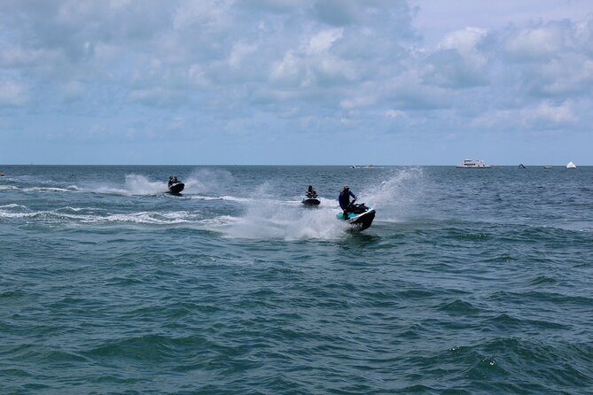 Key West Tours from Miami: Dolphin Discovery, Snorkeling & More ! - What the glass-bottom boat option adds