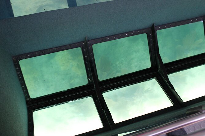 Key West Tours from Miami: Dolphin Discovery, Snorkeling & More ! - Time in Key West versus time on the road