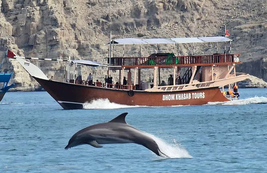 Khasab: Half-Day Dhow Cruise, Dolphin Watching, & Snorkeling - Dolphin watching near the fishing village