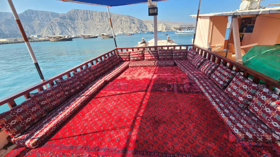 Khasab: Half-Day Dhow Cruise, Dolphin Watching, & Snorkeling - Price, pickup, and border planning