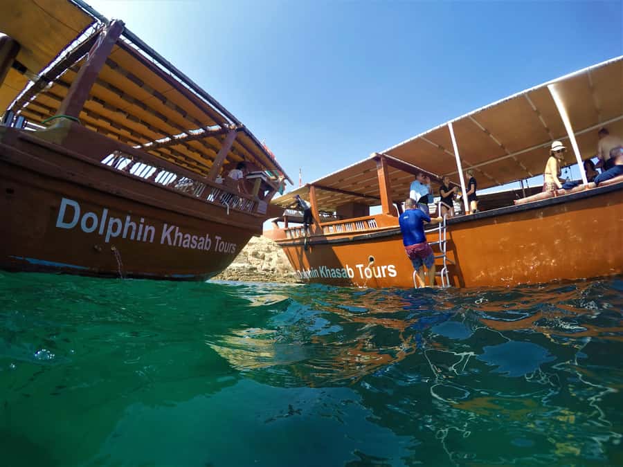 Khasab: Half-Day Dhow Cruise with Dolphin Watching - Five things to know before you book