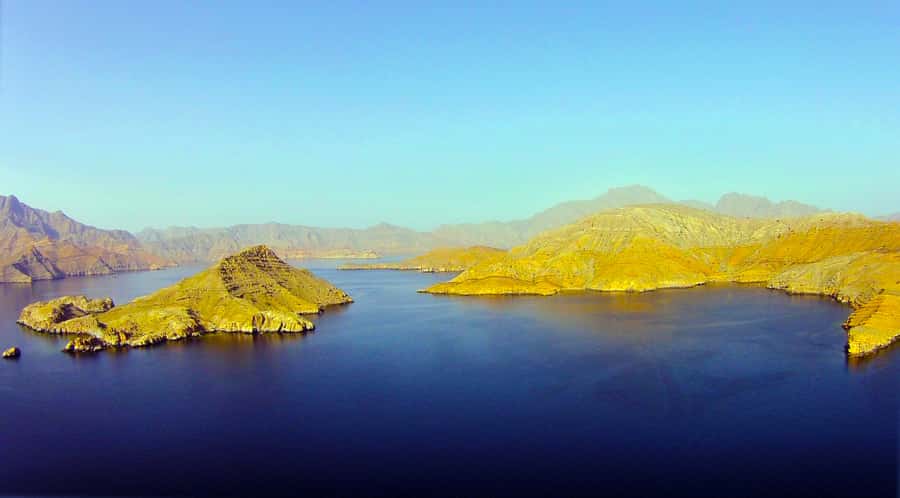 Khasab: Half-Day Dhow Cruise with Dolphin Watching - Who will enjoy this cruise most