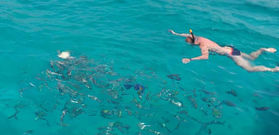 Khasab Musandam |Telegraph Island |Dhow Cruise | Dolphins - Cruising Khor Shimm on a traditional dhow