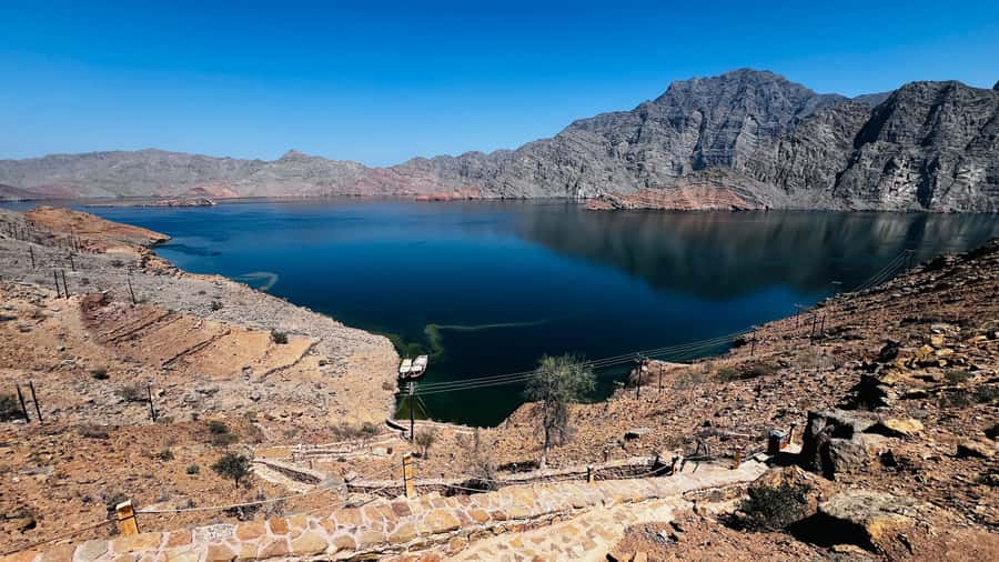 Khasab Musandam |Telegraph Island |Dhow Cruise | Dolphins - Crew service and the comfort factor