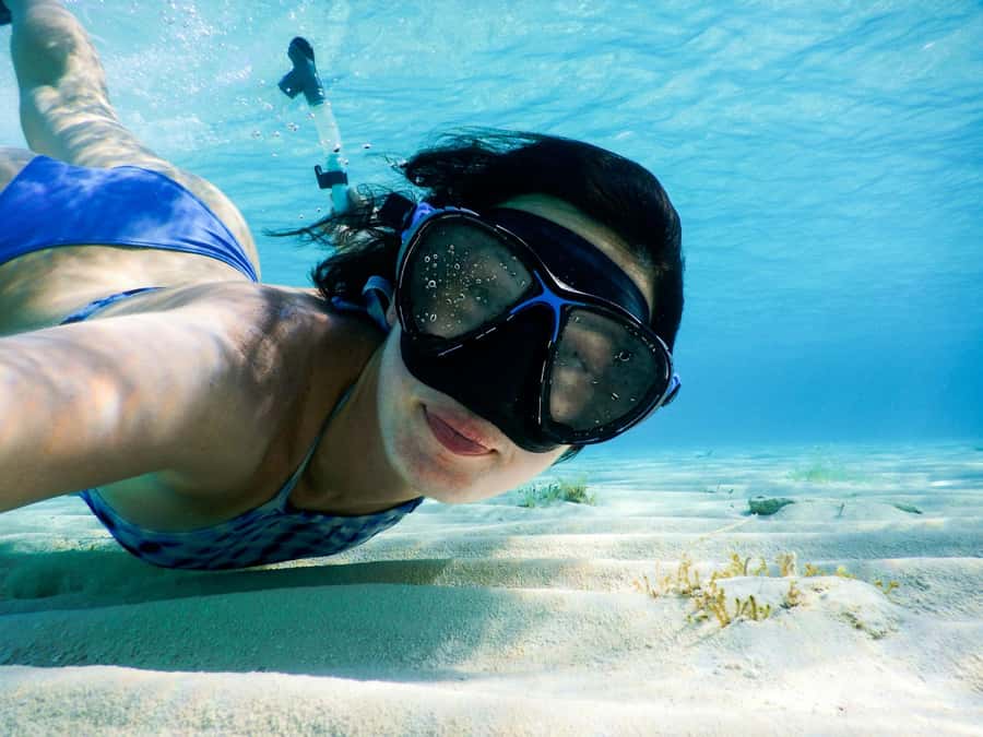 Koh Samui: Pink Dolphin, Pig Island, and Snorkeling Day Trip - Key points before you book