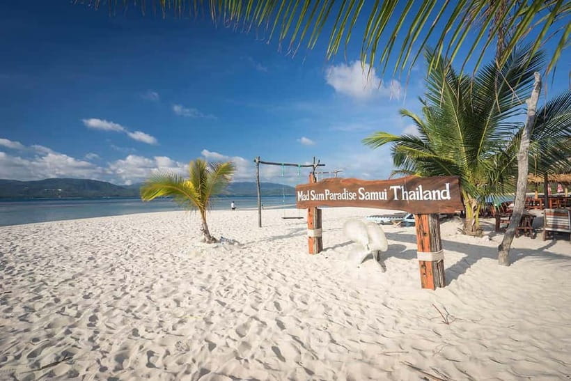 Koh Samui Pink Dolphin Sightseeing and Snorkelling Tour - Key points before you book