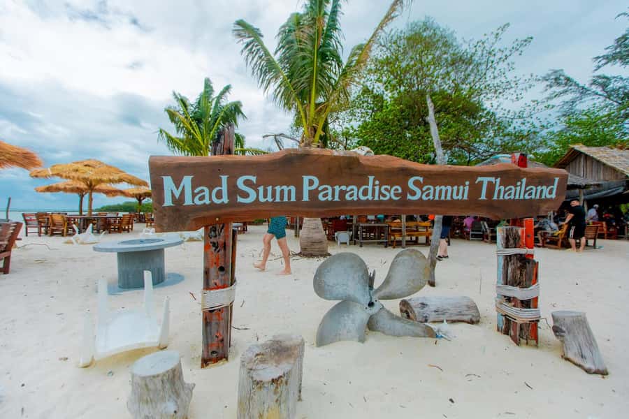Koh Samui: Pink Dolphin Spotting & Pig Island Speedboat Tour - From Koh Samui hotels to Thong Krut Pier