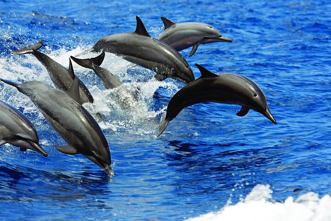 Kona Luxury Catamaran Yacht Snorkel & Sail - Lunch, snacks, and drinks on board