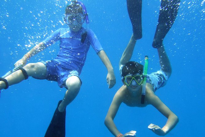 Kona Shore Excursion: Wild Dolphin Reefs Snorkel and Sea Caves - Snorkeling at Captain Cook Monument