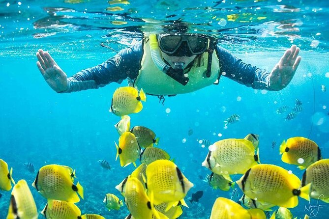 Kona Shore Excursion: Wild Dolphin Reefs Snorkel and Sea Caves - Sea caves, lava cliffs, and the face of Pele