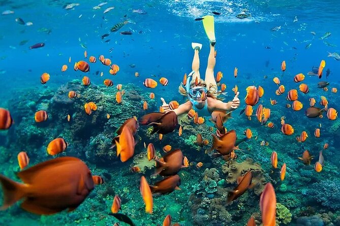 Kona Snorkel Tour: Captain Cook Reef Snorkel, Dolphin & Sea Caves - Kealakekua Bay and the Captain Cook Monument