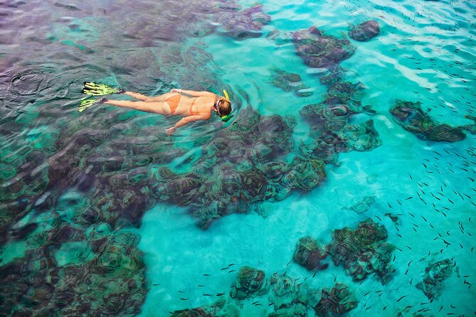Kona Snorkel Tour: Captain Cook Reef Snorkel, Dolphin & Sea Caves - The ride, the crew, and the safety tradeoff