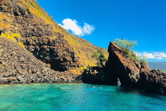 Kona Snorkel Tour: Captain Cook Reef Snorkel, Dolphin & Sea Caves - Who will enjoy this Kona excursion most?