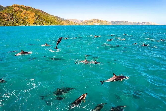 Kona Snorkel Tour: Captain Cook Reef Snorkel, Dolphin & Sea Caves - Sea caves and lava tubes along the Kona coast