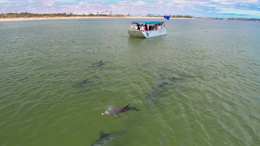Koombana Bay: Dolphin Eco Cruise - Setting off from the Dolphin Discovery Centre