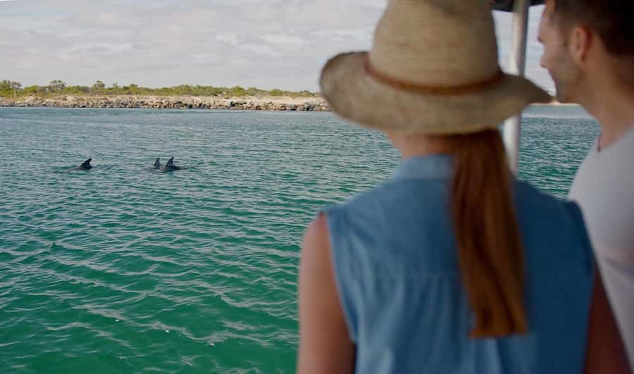 Koombana Bay: Dolphin Eco Cruise - Price, value, and who gets the most from it
