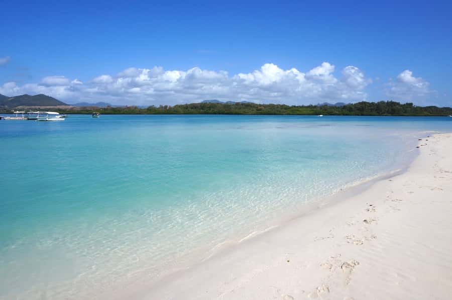 La Preneuse: Dolphin Swimming and Snorkeling Speedboat Trip - Starting early at La Preneuse Beach
