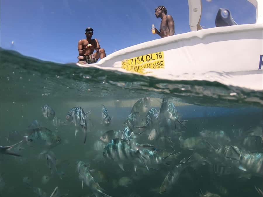 La Preneuse: Dolphin Watching and Snorkeling Speedboat Tour - Leaving La Preneuse Beach by speedboat