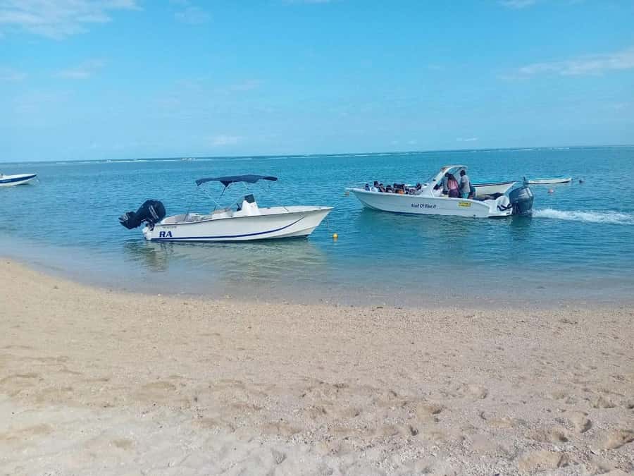 La Preneuse: Dolphin Watching and Snorkeling Speedboat Tour - What the $58 price really covers