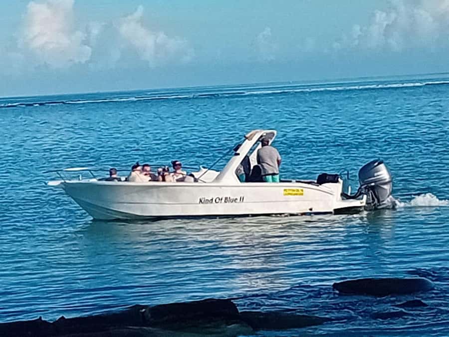La Preneuse: Dolphin Watching and Snorkeling Speedboat Tour - What to bring for a smoother outing
