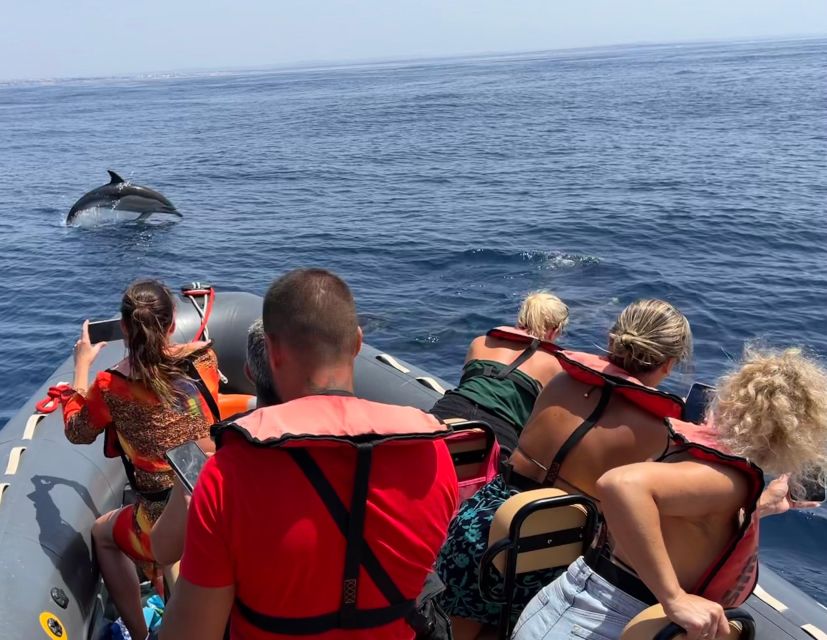 Lagoa: Dolphins Expedition with biologist guide on board - The 2.5-hour search for dolphin pods
