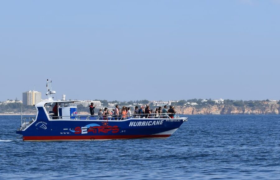Lagos: Combo Dolphin and Benagil Tour with Marine Biologist - Cruising toward Benagil Cave