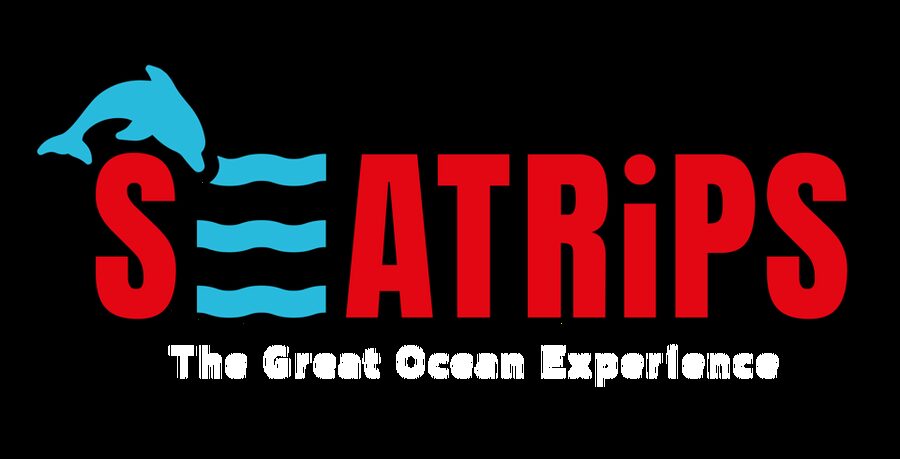 Lagos: Combo Dolphin and Benagil Tour with Marine Biologist - Searching for dolphins in the Atlantic