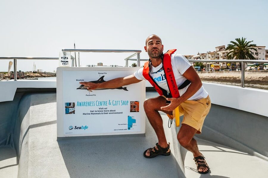 Lagos: Dolphin Watch Tour with Professional Marine Biologist - Five things worth knowing before you go