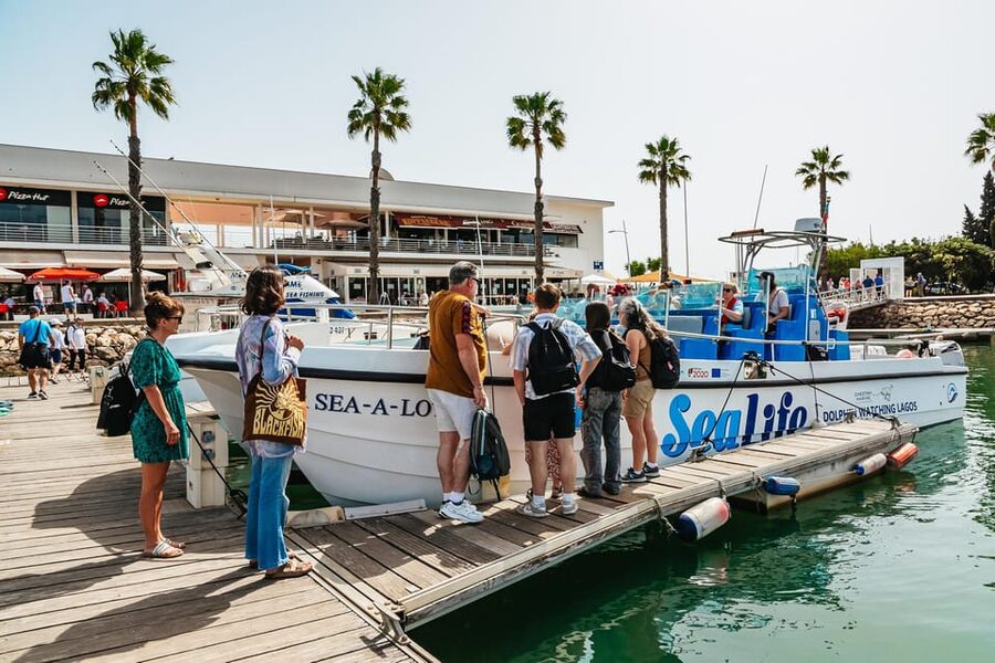 Lagos: Dolphin Watch Tour with Professional Marine Biologist - Is $42 a fair price?