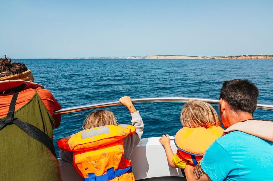 Lagos: Dolphin Watch Tour with Professional Marine Biologist - Searching for dolphins in their own waters