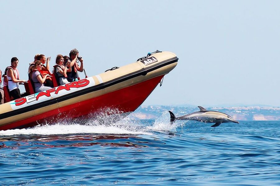 Lagos: Dolphin Watching with Professional Marine Biologists - What to wear and bring to Lagos Marina