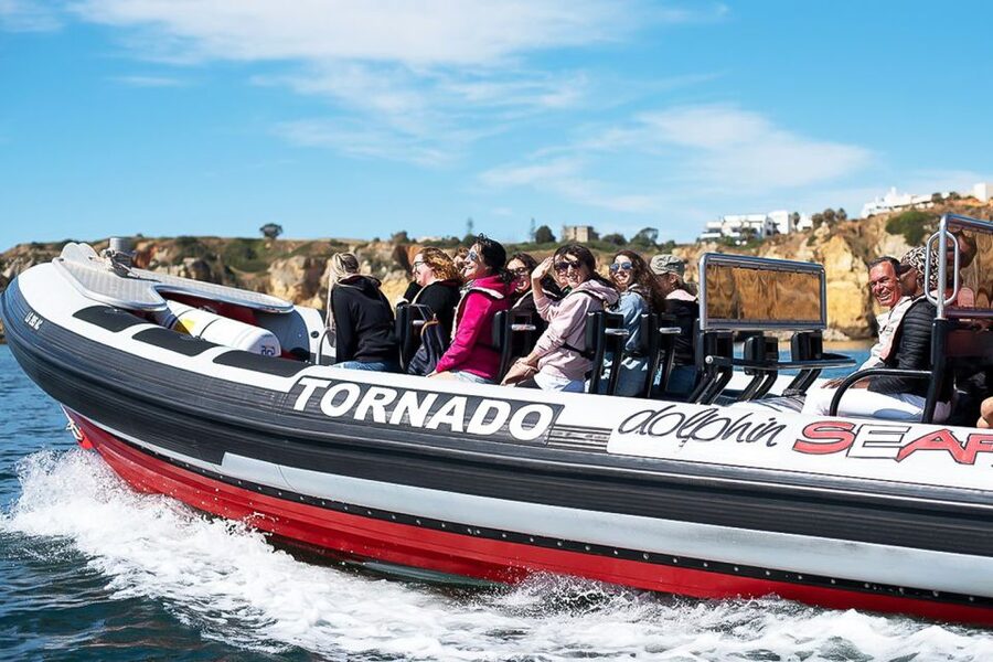Lagos: Dolphin Watching with Professional Marine Biologists - Weather, cancellations, and timing