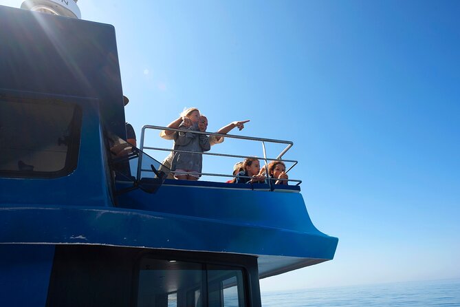 Lagos: Dolphins & Benagil Caves – Catamaran - The swim stop, slide, and water park
