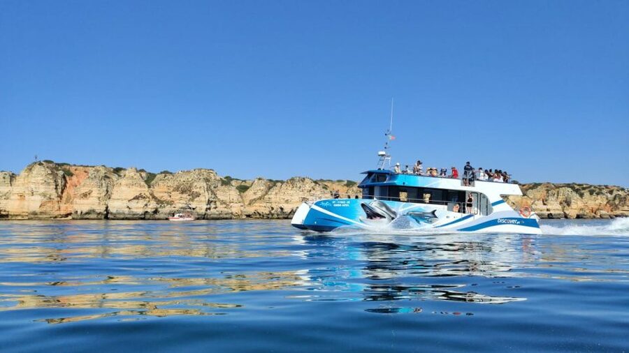 Lagos: Dolphins & Caves - Catamaran - What the marine biology talk adds
