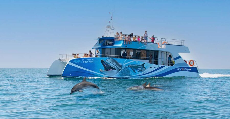 Lagos: Dolphins & Caves - Catamaran - Searching for dolphins in the Atlantic