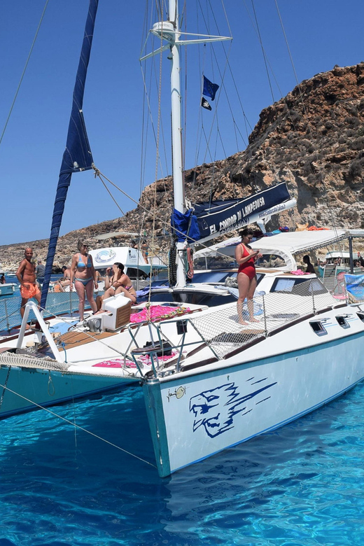 Lampedusa: Dolphin watching with aperitif at sunset - Searching for dolphins near Lampedusa