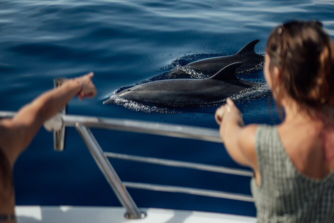 Lana'i Snorkel And Dolphin Quest with Maui Turtle Spot Tour - The ride toward Lanaʻi and the dolphin search