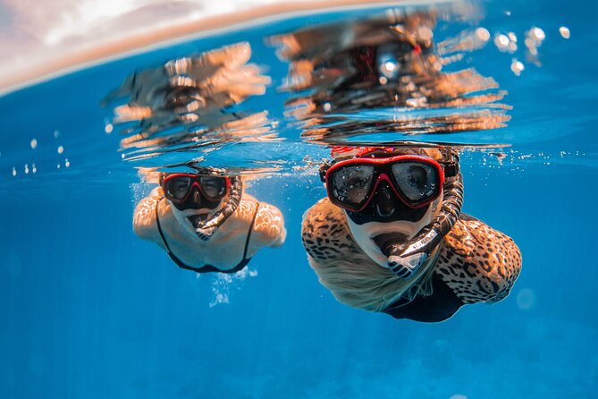 Lana'i Snorkel And Dolphin Quest with Maui Turtle Spot Tour - What the small group adds to the value