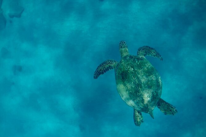 Lana'i Snorkel And Dolphin Quest with Maui Turtle Spot Tour - Practical limits you should take seriously