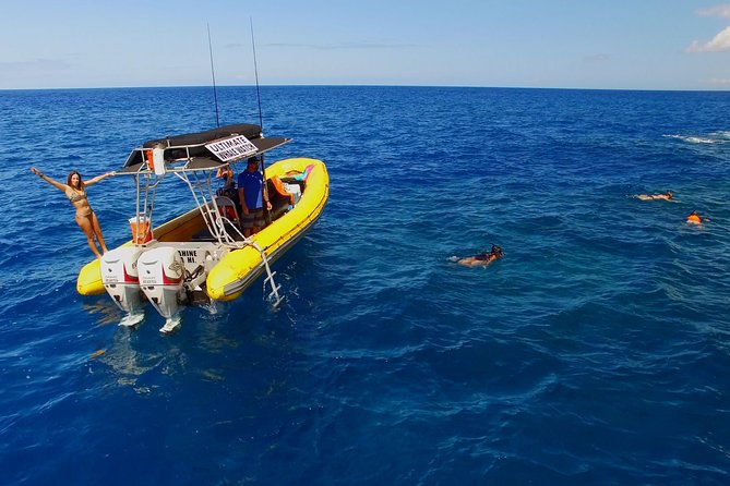 Lanai Deluxe Dolphin Adventure & 3 Snorkel Sites - Dolphin watching is a thrilling bonus, not the main guarantee