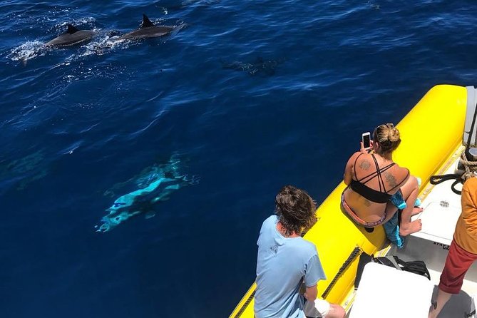 Lanai Deluxe Dolphin Adventure & 3 Snorkel Sites - The crew can make the difference for nervous swimmers