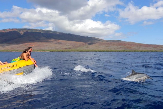 Lanai Deluxe Dolphin Adventure & 3 Snorkel Sites - Small groups help, but this is still a physical outing