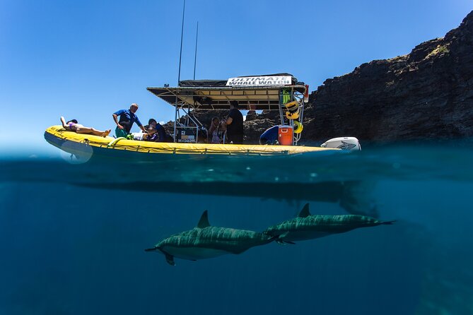 Lanai Deluxe Dolphin Adventure & 3 Snorkel Sites - Timing, meeting point, and cancellation details