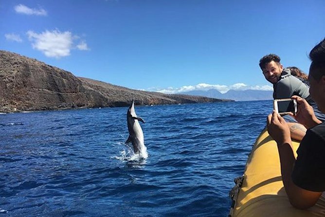 Lanai Deluxe Dolphin Adventure & 3 Snorkel Sites - What happens at Lanai’s snorkel sites