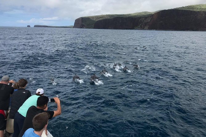 Lanai Snorkel and Dolphin Watch from Maalaea - Maalaea Harbor is the starting point