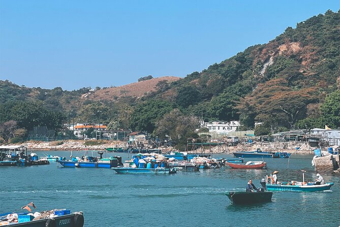 Lantau Group Tour: Dolphin Watching, Fishing Village & Cable Car - Pickup, walking, weather, and booking rules