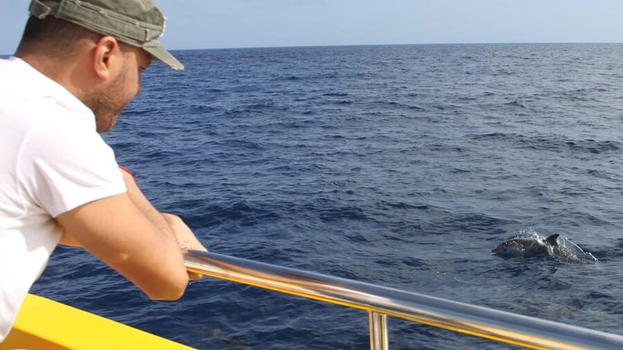 Lanzarote: 2.5-Hour Sunset and Dolphins Cruise - What the Lanzarote cruise actually includes