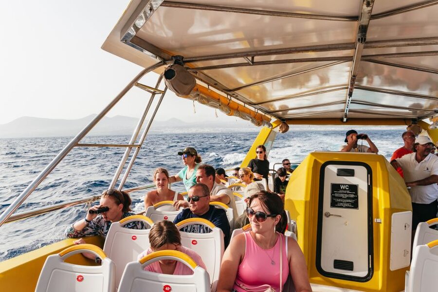 Lanzarote: 2.5-Hour Sunset and Dolphins Cruise - Searching the Atlantic for dolphins and whales