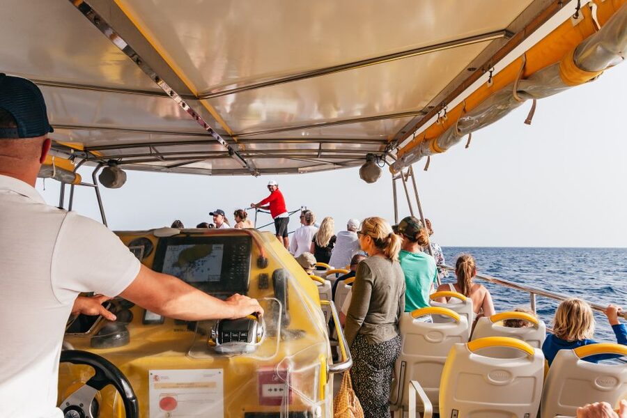 Lanzarote: 2.5-Hour Sunset and Dolphins Cruise - Value at $61 per person