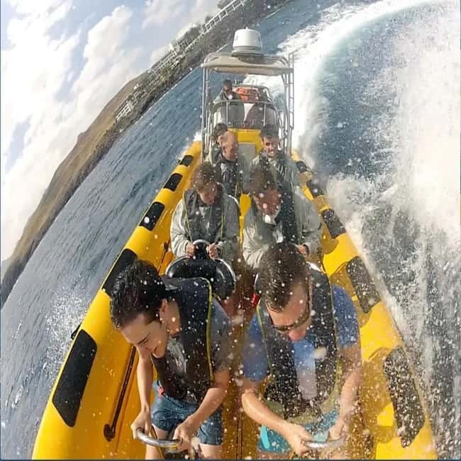 Lanzarote: Dolphin Watching by speedboat - Why the small group matters